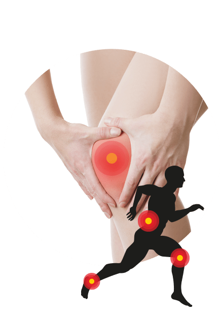 DOLOR FIX – Integratore Naturale Antinfiammatorio per Dolori Articolari con Zenzero e Salice Bianco - Bioniva